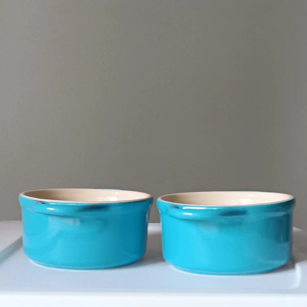 Pair of Ceramic Bowls with Lids & Handles Aqua Blue White 4.5